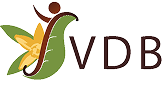 Logo Vanille Durable Bemanevika